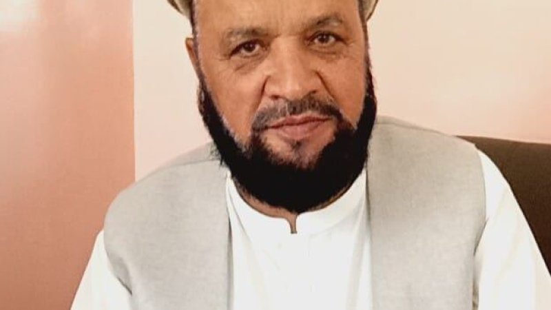 د صدارت پر مهال د محمد موسى شفېق لاسته راوړنې او تېر وتنې