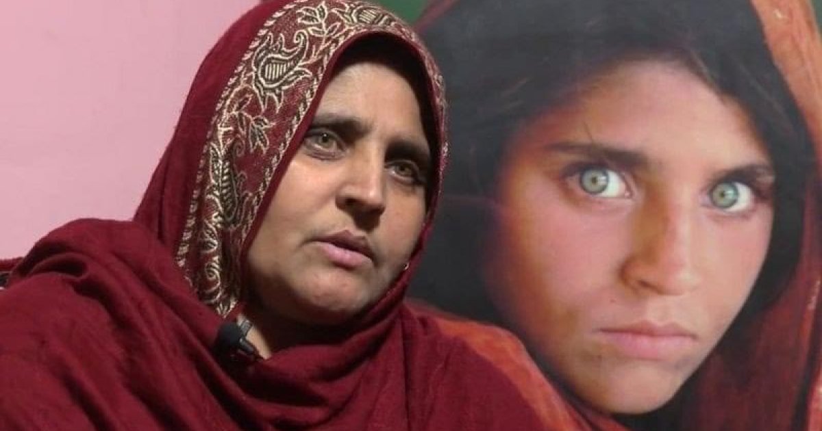 شربت ګلۍ د ژوند کیسه