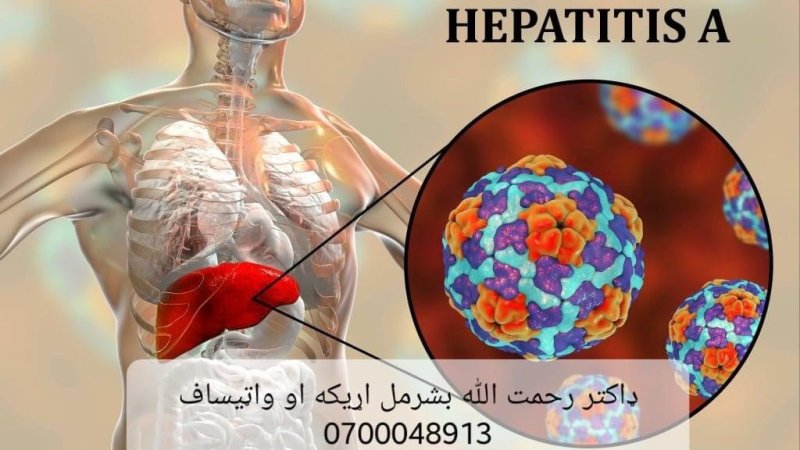زیړي یو قسم Hepatitis A