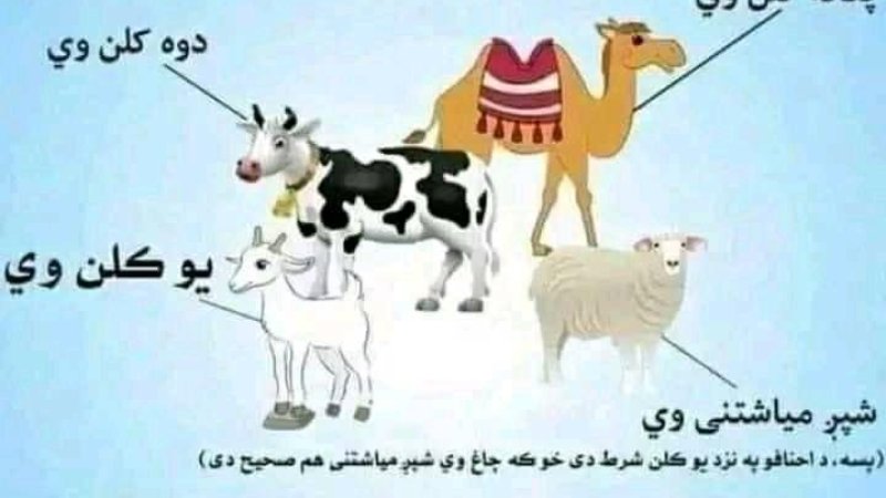 لوي اختر د قربانۍ مسائل او فضايل