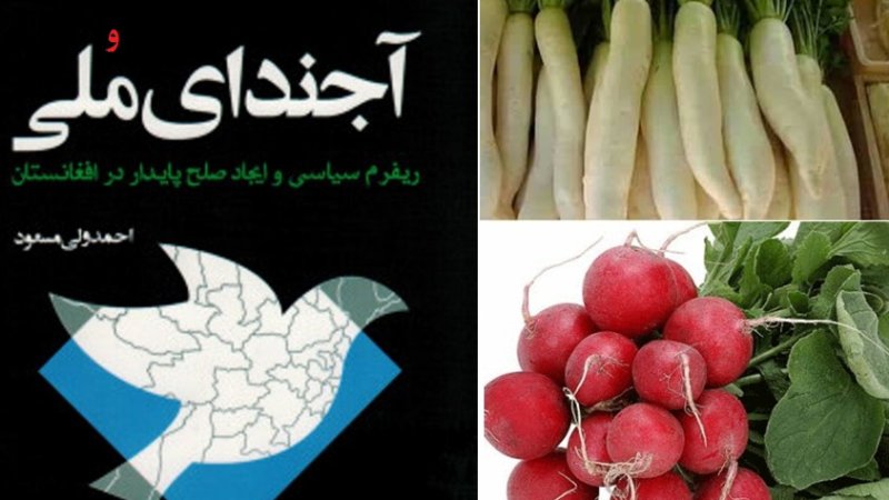 آجندای مُلی