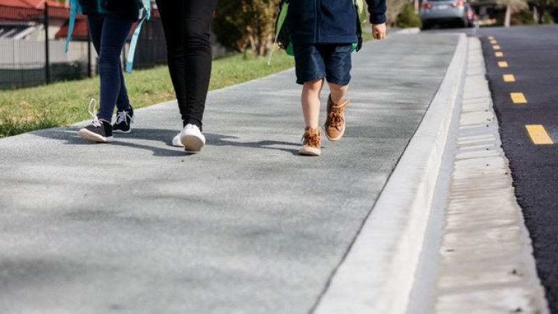 د تګ راتګ عامه لارو اصول