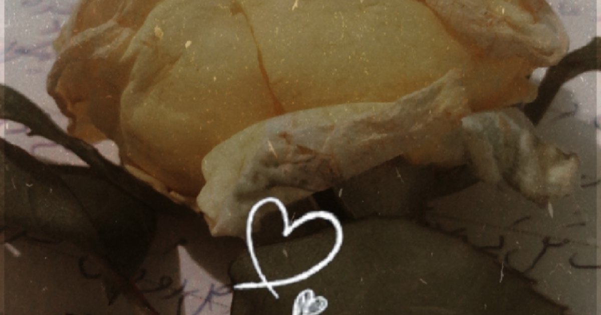 زما په پوهه کی د ناپوهۍ فلسفه