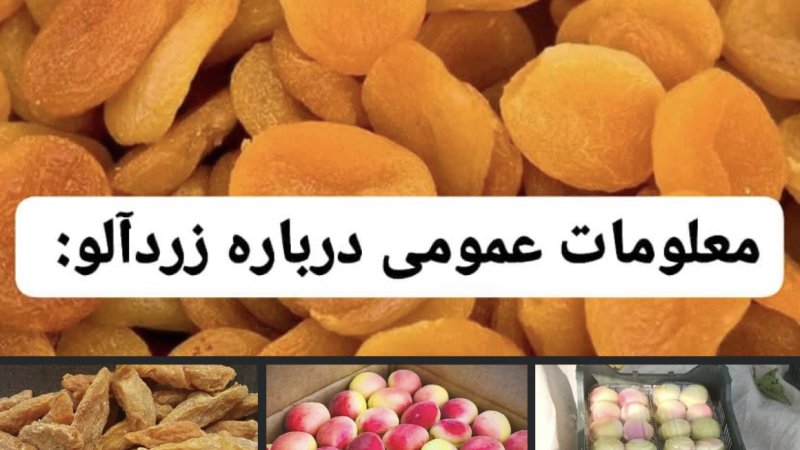 زردالو و خشک کردن -کشته