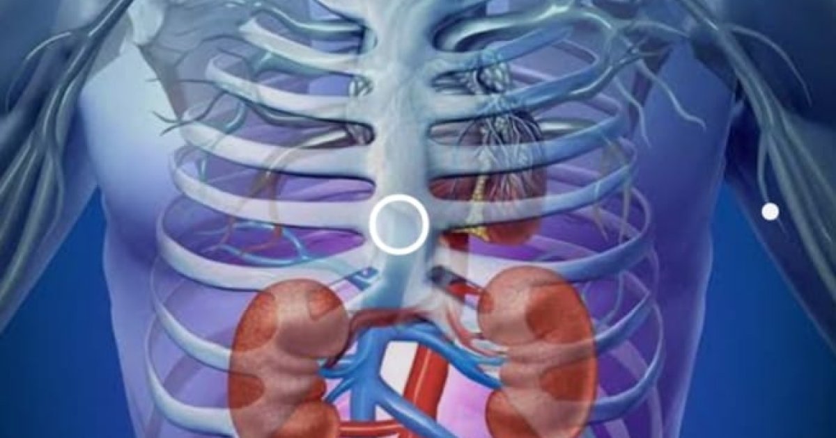 څنګه د خپلو ګوردو ( پښتورګو ) ساتنه وکړو ؟