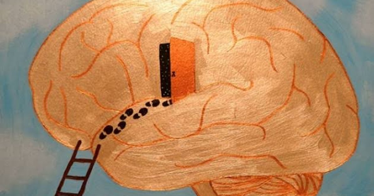 فلسفه څه ته وايي؟