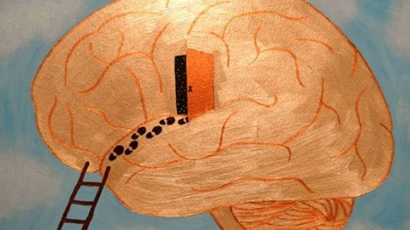 فلسفه څه ته وايي؟