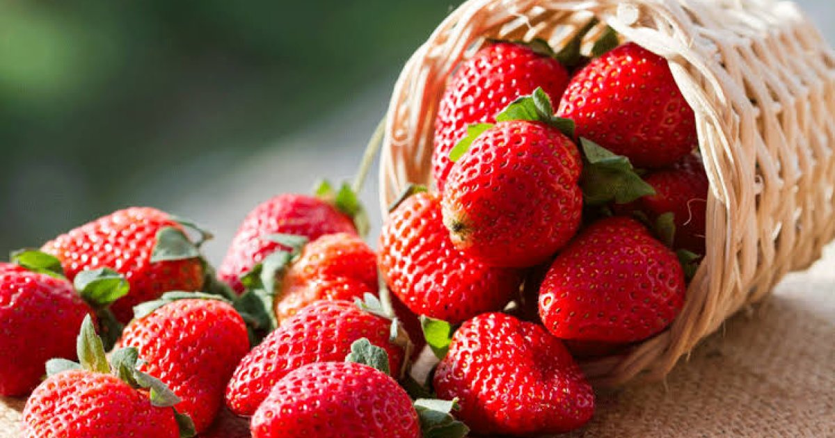 د ځمکني توت لس روغتيايي ګټې