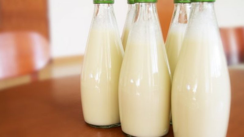 د شودو په اړه هغه څه چې باید پرې پوه شئ