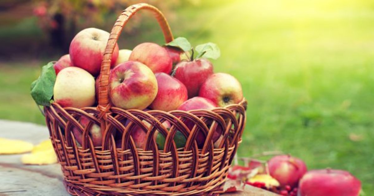 د مڼو ۱۳ حیرانونکې روغتیایي ګټې