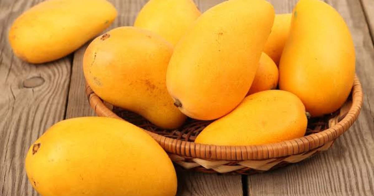 د ام روغتيايي ګټې