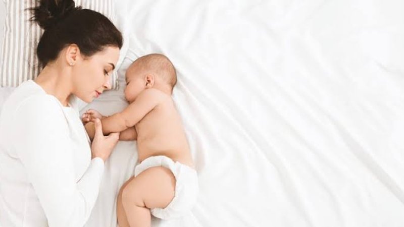 د مور شیدې کومې ګټې لري؟