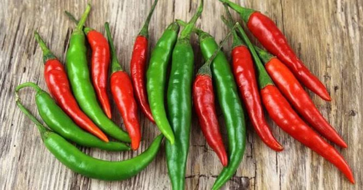 د مرچو حیرانوونکي روغتيايي ګټې