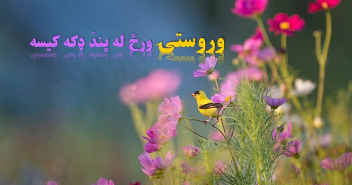 وروستۍ ورځ له پندَ ډکه کیسه