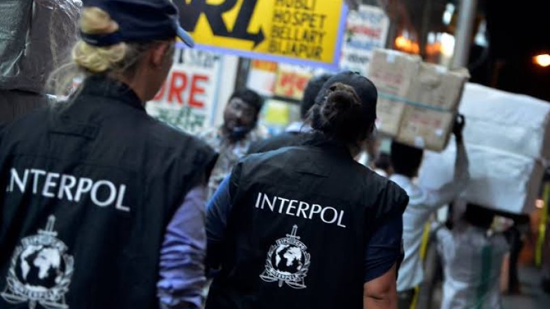 انټرپول پولیس څوک دي؟