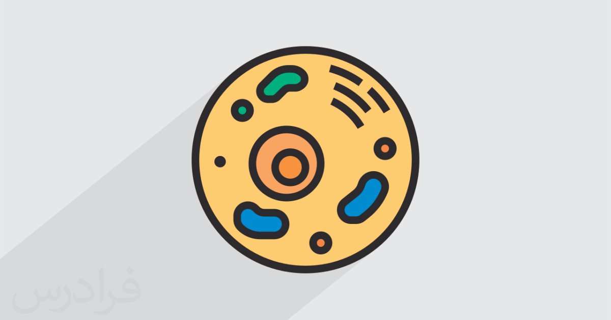 حجره څه شي ته ویل کېږي!؟