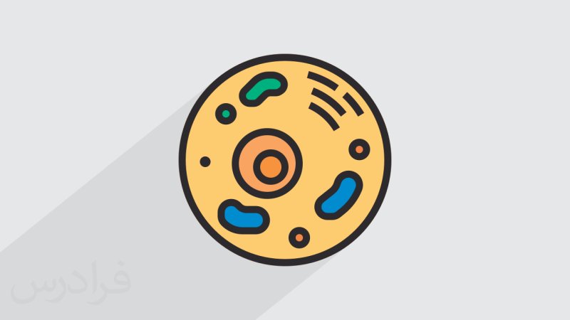 حجره څه شي ته ویل کېږي!؟