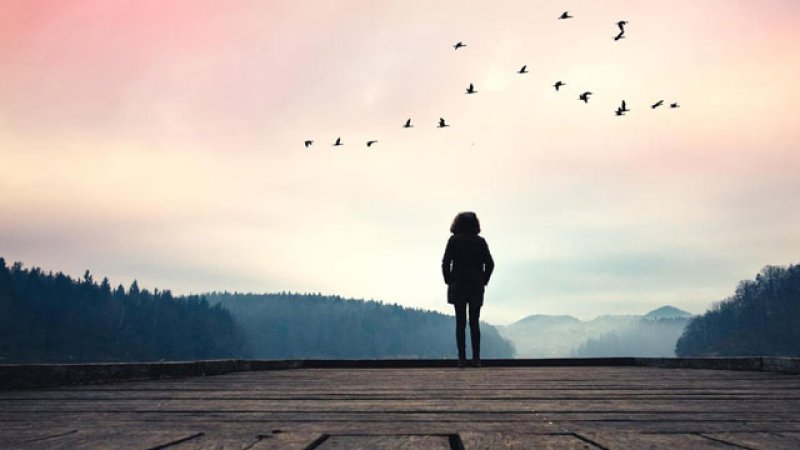 ژوند او ځانګړتیاوې یې