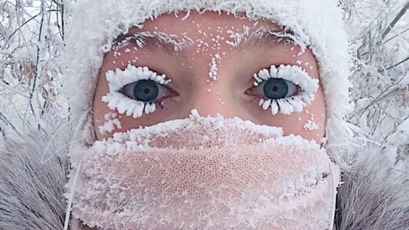 د نړۍ تر ټولو یخې سیمې