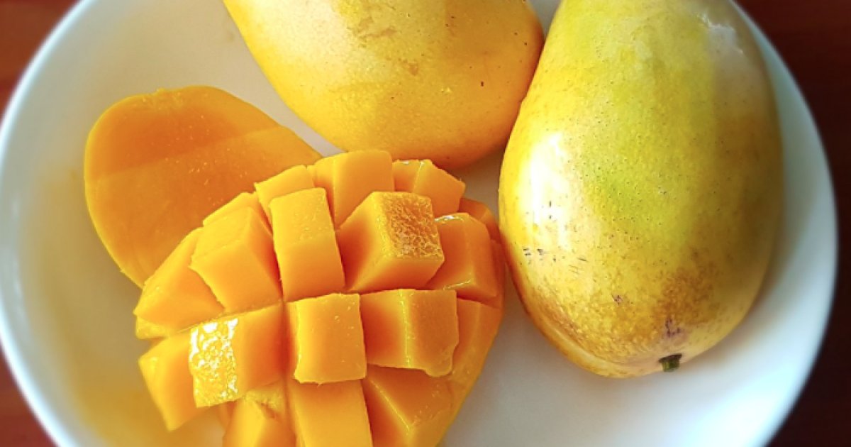 ام ستاسو د ویښتانو ساتونکی