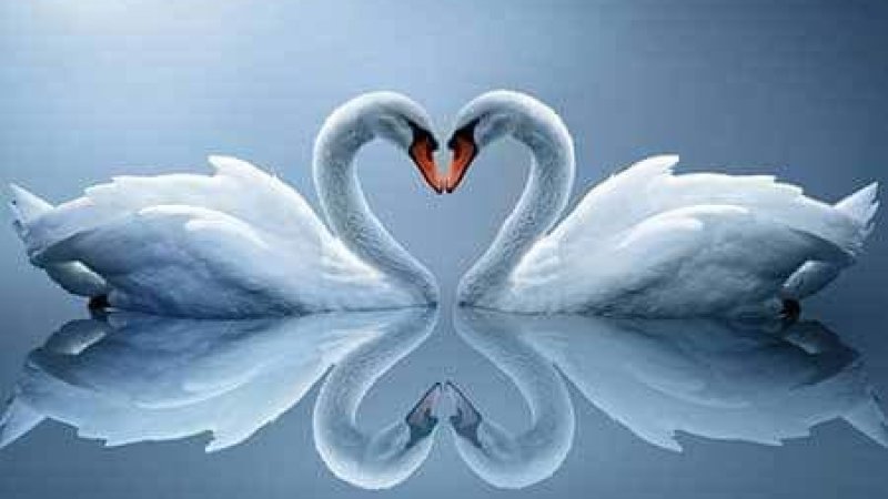 د پرمختګ راز