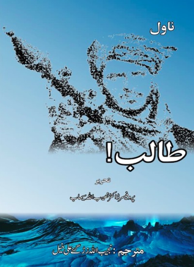 طالب اردو ناول