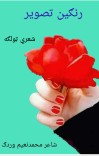 (رنګین تصویر (شعري ټولګه cover image