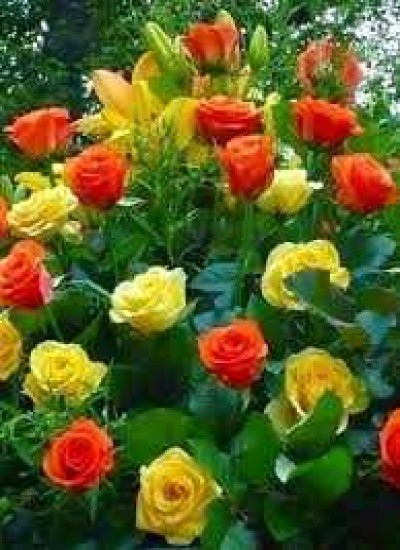 ښکلی نومونه پشتو