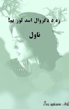 (زه د ډګروال اسد لور یم (ناول cover image