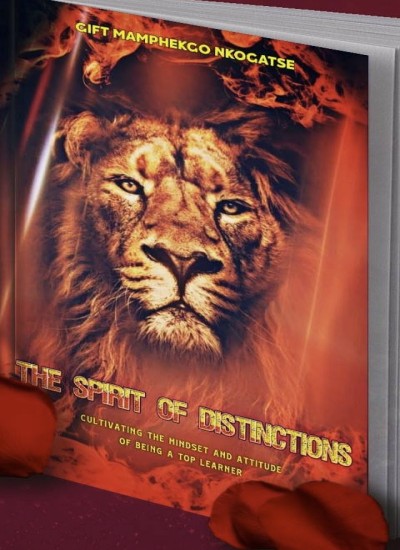 The Spirit of distinctions