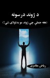 د ژوند درسونه cover image