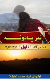 (تیر یادونه(نارنج کلاء ناول دوهمه برخه cover image