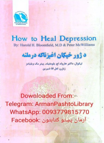 د ژور خپګان اغېزناکه درملنه