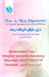 د ژور خپګان اغېزناکه درملنه cover image