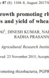 Effect of plant growth promoting rhizobacteria on growth, yield attributes and yield of wheat (Triticum aestivum)-Research Paper cover image