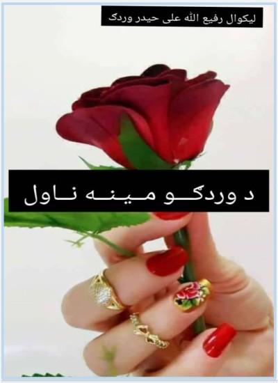 د وردگو مینه ناول