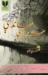 سندریزې ساندې cover image