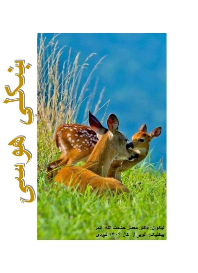 ښکلې هوسۍ-۸۷