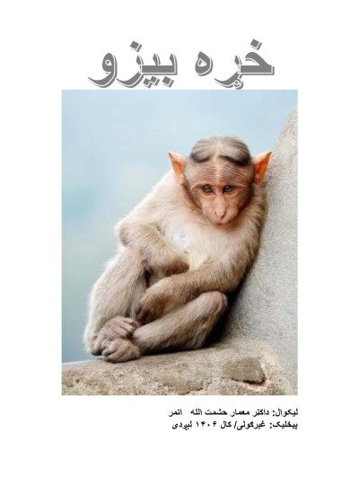 خړه بیزو - ۸۸