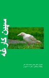 ۹۰- سپین کارغه cover image