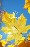 پاڼه ژېړه شوه cover image
