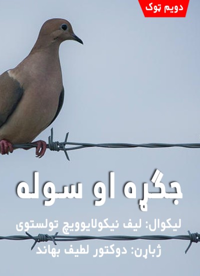 جګړه او سوله (دویم ټوک)