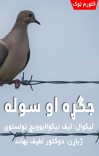 جګړه او سوله (څلورم ټوک) cover image