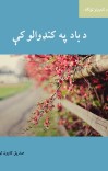 د باد په کنډوالو کې cover image