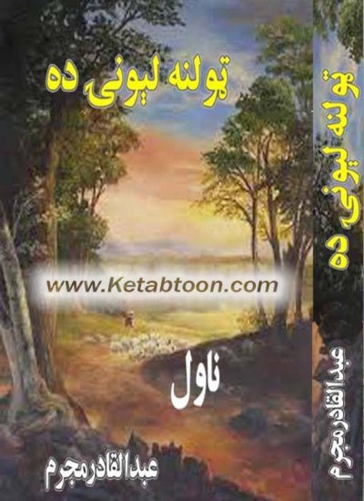 ټولنه لیونۍ ده
