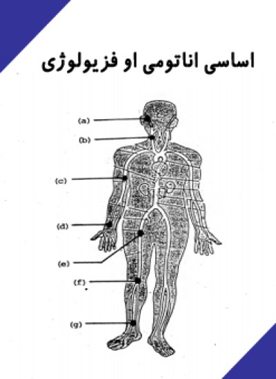 اساسی اناتومی او فزیولوژی